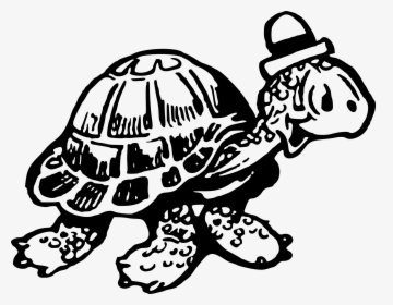 Tortoise 2 Clip Arts - Turtle, HD Png Download, Transparent PNG