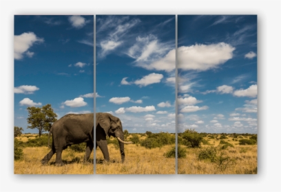 Triptych Elephant Sky - Indian Elephant, HD Png Download, Transparent PNG
