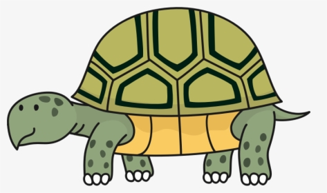 Tortoise Images Clip Art, HD Png Download, Transparent PNG