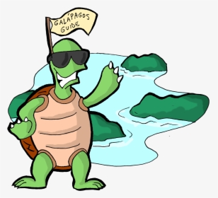 Tortoise Clipart Turtoise - Cartoon, HD Png Download, Transparent PNG