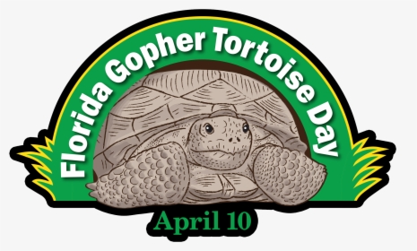 Gopher Tortoise Day - Florida Gopher Tortoise Day, HD Png Download, Transparent PNG
