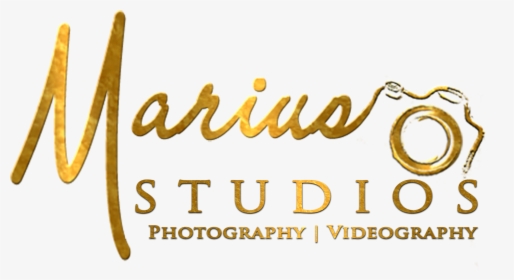 Logo Photography Gold Png, Transparent Png, Transparent PNG