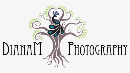 Dianam Photography, HD Png Download, Transparent PNG