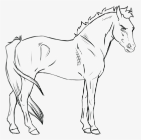 Cartoon Horse Lineart, HD Png Download, Transparent PNG