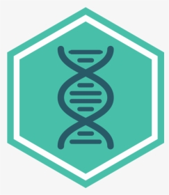 Life Sciences - Seattle Public Library, HD Png Download, Transparent PNG