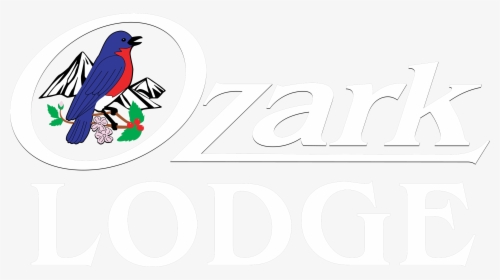 Ozark Lodge - Piciformes, HD Png Download, Transparent PNG