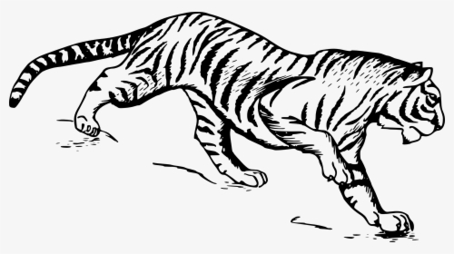 Picture Library Download Flute Clipart Mayilpeeli - Tiger Drawing Png, Transparent Png, Transparent PNG