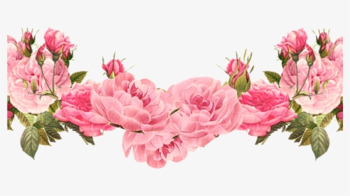 Png Transparent Background Flower, Png Download, Transparent PNG