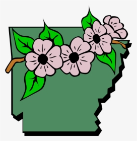 Arkansas Map And Flowers - Drawing Arkansas State Flower, HD Png Download, Transparent PNG