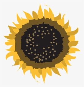 Flower, Symbol, Sun, Nature, Design, Sign, Natural - Mooiweer, HD Png Download, Transparent PNG