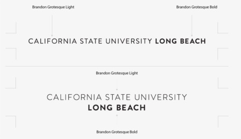 Long Name Specs - Cal State Long Beach Name, HD Png Download, Transparent PNG