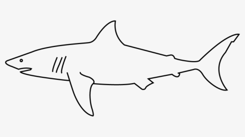 Great White Shark, HD Png Download, Transparent PNG