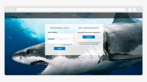 B2b Login Page - Facebook Cover Photo Shark, HD Png Download, Transparent PNG