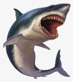 Great White Shark, HD Png Download, Transparent PNG