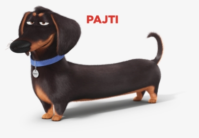 Dog Secret Life Of Pets Characters, HD Png Download, Transparent PNG