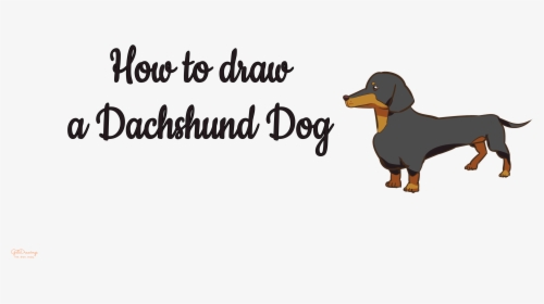 Dachshund, HD Png Download, Transparent PNG