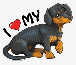 Dachshund Love - Rottweiler, HD Png Download, Transparent PNG