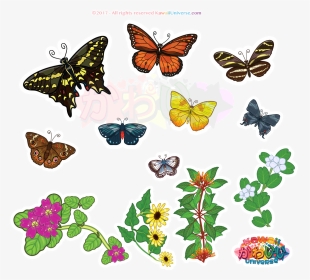 Kawaii Universe Florida Butterflies Animati By Db9ro3k - Speckled Wood (butterfly, HD Png Download, Transparent PNG