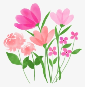 Watercolor, Watercolour Flowers, Spring Flower, Flowers - Tulipa Humilis, HD Png Download, Transparent PNG