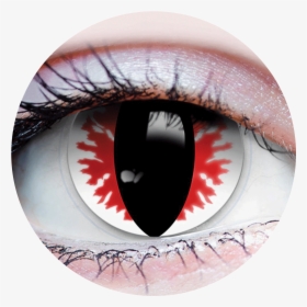 Devil Eyes Png - Sunrise Ash Contact Lens, Transparent Png, Transparent PNG