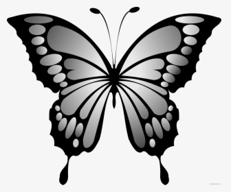 Wonderful Butterfly Animal Free Black White Clipart - Yellow And Red Butterfly, HD Png Download, Transparent PNG