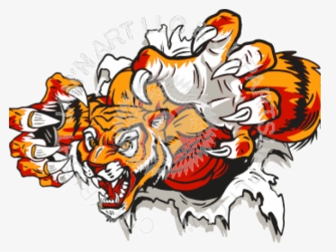 Melrose Golden Wildcats Basketball - Tiger Ripping Through Wall, HD Png Download, Transparent PNG