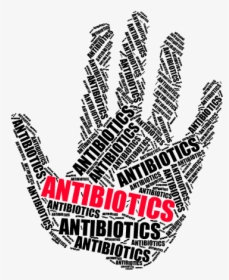 Antibiotics In Animal Feed - Hand, HD Png Download, Transparent PNG
