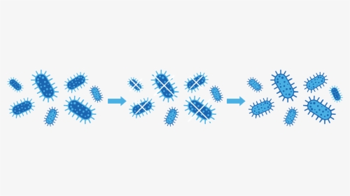 Antibiotic Resistant Bacteria Icon, HD Png Download, Transparent PNG