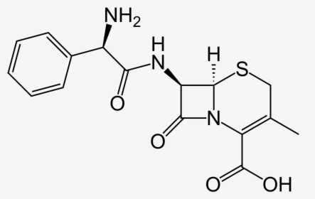 Cephalexin Chemical Structure, HD Png Download, Transparent PNG