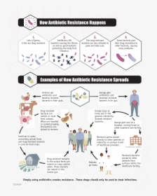 Antibiotic Resistance Threat] - Antibiotic Resistance Happens, HD Png Download, Transparent PNG