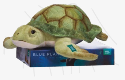 Bbc Blue Planet Turtle 30cm - Kemp's Ridley Sea Turtle, HD Png Download, Transparent PNG