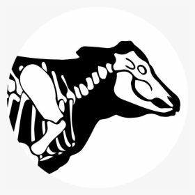 Bbb Insta - Tyrannosaurus, HD Png Download, Transparent PNG