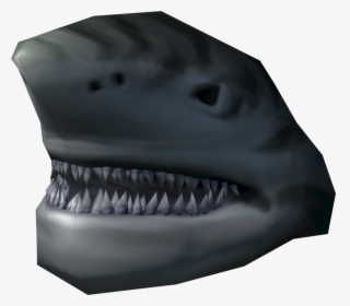 Transparent Tiger Head Png - Head Of A Shark, Png Download, Transparent PNG