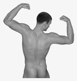 Man, Muscles, Act, Naked, Erotic, Sexy, Figure - Niveis De Organização Dos Seres Vivos, HD Png Download, Transparent PNG
