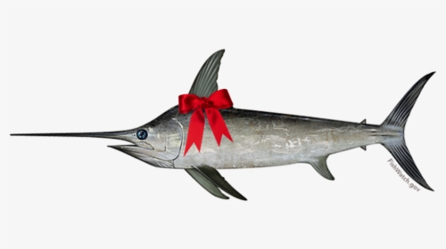 Top Predators Eating With - Swordfish Transparent, HD Png Download, Transparent PNG