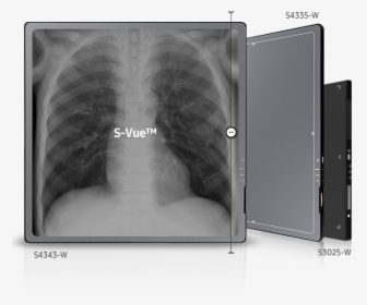 Xray Png, Transparent Png, Transparent PNG