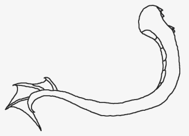 Mermaid Tail Outline Outline Of A Dragons Tail - Outline Of A Dragon's Tail, HD Png Download, Transparent PNG