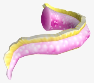 Pastel Petal Dragon Tail - Caterpillar, HD Png Download, Transparent PNG