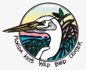 Logo Regular Transparent - Florida Keys Wild Bird Center, HD Png Download, Transparent PNG