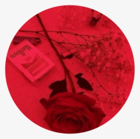 Red Rose Grunge Aesthetic Aestheticcircle Circle - Dark Depressed Sad Aesthetic, HD Png Download, Transparent PNG