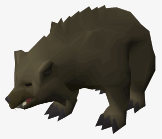 Old School Runescape Wiki - Bear Spawns Osrs, HD Png Download, Transparent PNG