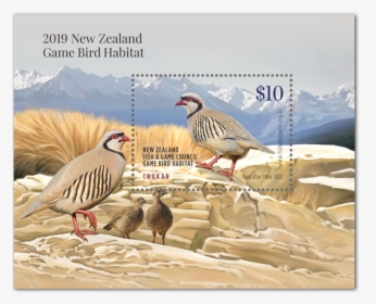 2019 Game Bird Licence, HD Png Download, Transparent PNG