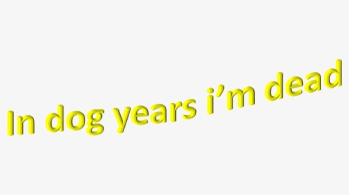 Aesthetic, Dogs, And Funny Image - Colorfulness, HD Png Download, Transparent PNG