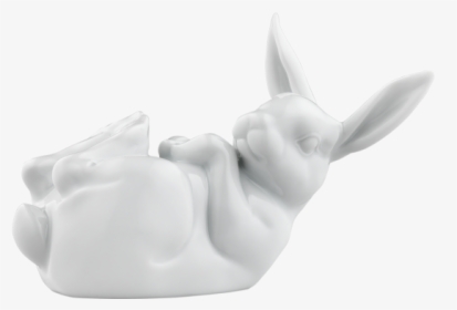 Hare 2018 Lotte - Domestic Rabbit, HD Png Download, Transparent PNG