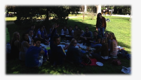Picnic01 - Park, HD Png Download, Transparent PNG