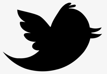 Twitter Bird Icon Png - Nuevo Logo Twitter Png, Transparent Png, Transparent PNG