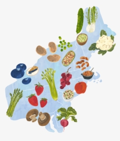Illustration, HD Png Download, Transparent PNG