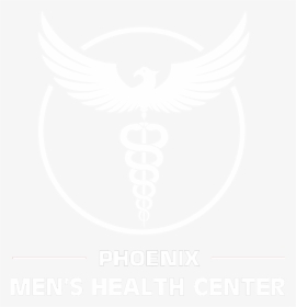 Phoenix Men S Health Center - City Of St Louis Department Of Health Logo, HD Png Download, Transparent PNG