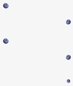 Circle, HD Png Download, Transparent PNG