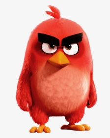 Clip Art Czerwony Red Pinterest And - Red Angry Birds Pelicula, HD Png Download, Transparent PNG